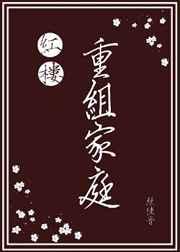 红楼重组家庭txt百度资源