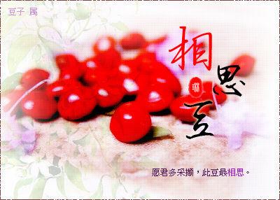 愿君多采撷的下一句是什么